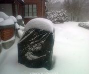 Snow-basket